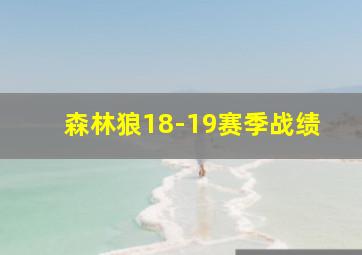 森林狼18-19赛季战绩