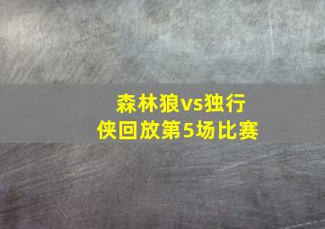 森林狼vs独行侠回放第5场比赛