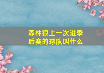 森林狼上一次进季后赛的球队叫什么