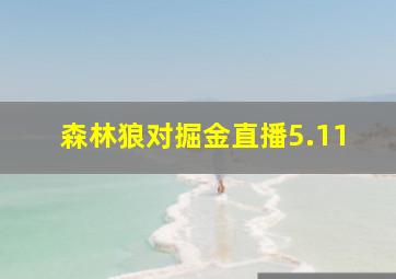 森林狼对掘金直播5.11