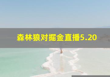 森林狼对掘金直播5.20