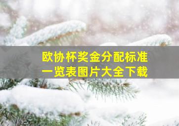 欧协杯奖金分配标准一览表图片大全下载