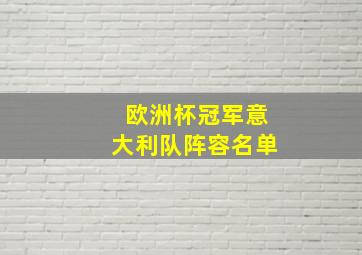 欧洲杯冠军意大利队阵容名单