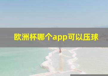 欧洲杯哪个app可以压球