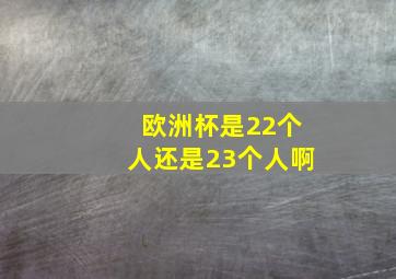 欧洲杯是22个人还是23个人啊