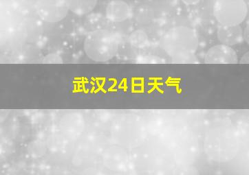 武汉24日天气