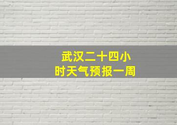 武汉二十四小时天气预报一周