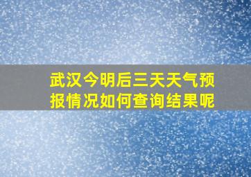 武汉今明后三天天气预报情况如何查询结果呢