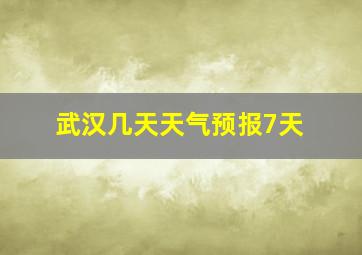 武汉几天天气预报7天