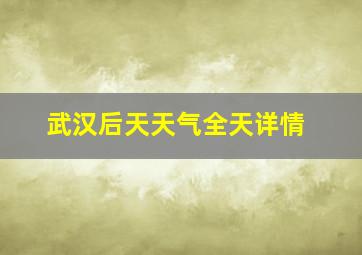 武汉后天天气全天详情