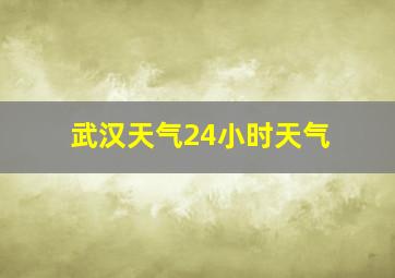 武汉天气24小时天气