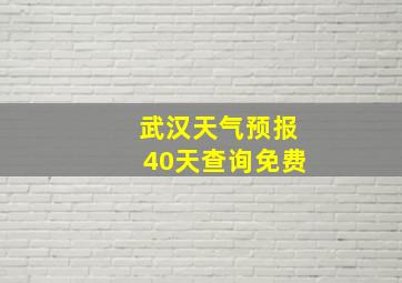 武汉天气预报40天查询免费