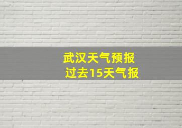 武汉天气预报过去15天气报