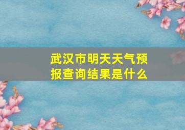 武汉市明天天气预报查询结果是什么