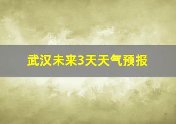 武汉未来3天天气预报