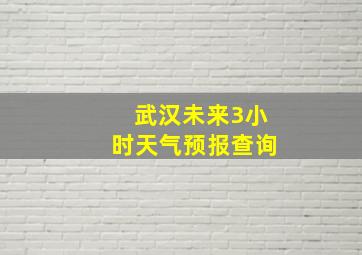 武汉未来3小时天气预报查询