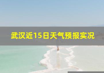 武汉近15日天气预报实况