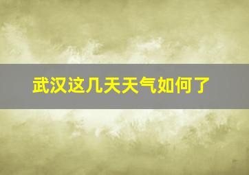 武汉这几天天气如何了