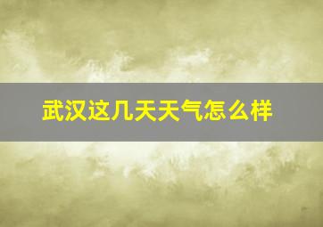 武汉这几天天气怎么样