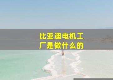 比亚迪电机工厂是做什么的