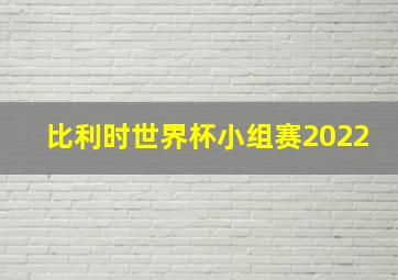 比利时世界杯小组赛2022