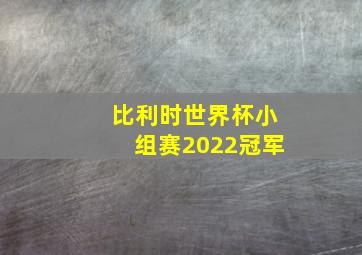 比利时世界杯小组赛2022冠军