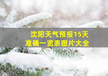 沈阳天气预报15天准确一览表图片大全