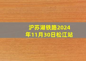 沪苏湖铁路2024年11月30日松江站