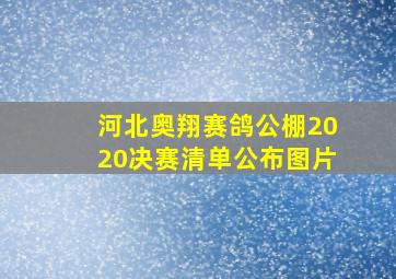 河北奥翔赛鸽公棚2020决赛清单公布图片