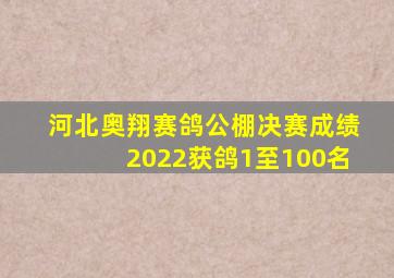 河北奥翔赛鸽公棚决赛成绩2022获鸽1至100名