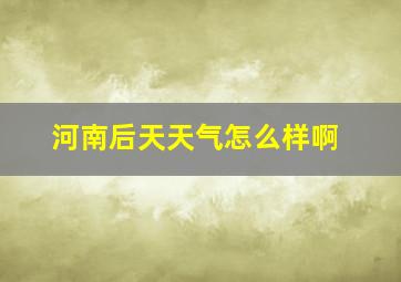 河南后天天气怎么样啊