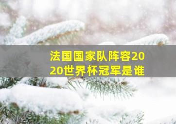 法国国家队阵容2020世界杯冠军是谁