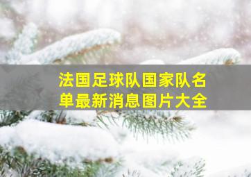 法国足球队国家队名单最新消息图片大全