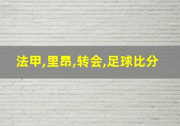 法甲,里昂,转会,足球比分