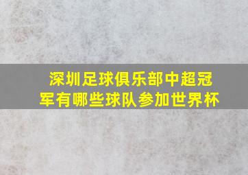 深圳足球俱乐部中超冠军有哪些球队参加世界杯