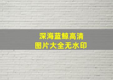 深海蓝鲸高清图片大全无水印