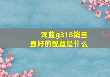 深蓝g318销量最好的配置是什么