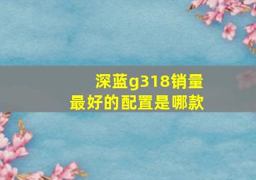 深蓝g318销量最好的配置是哪款