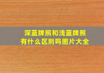 深蓝牌照和浅蓝牌照有什么区别吗图片大全