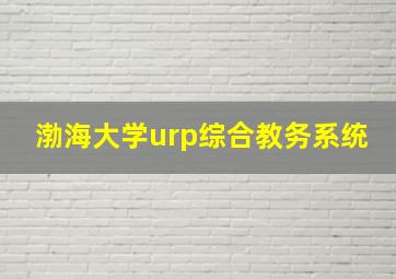 渤海大学urp综合教务系统