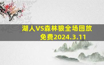 湖人VS森林狼全场回放免费2024.3.11