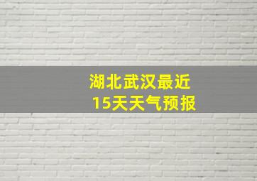 湖北武汉最近15天天气预报