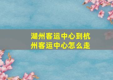 湖州客运中心到杭州客运中心怎么走