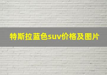 特斯拉蓝色suv价格及图片