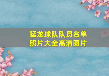 猛龙球队队员名单照片大全高清图片