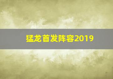 猛龙首发阵容2019