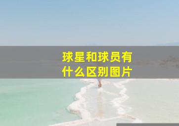 球星和球员有什么区别图片