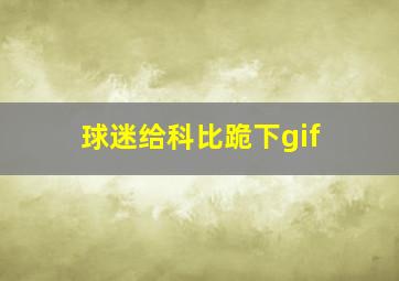 球迷给科比跪下gif