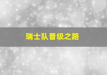 瑞士队晋级之路