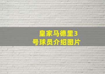 皇家马德里3号球员介绍图片